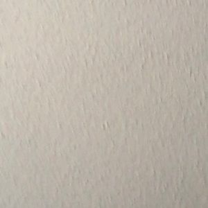 Meet your Posher, Jayden